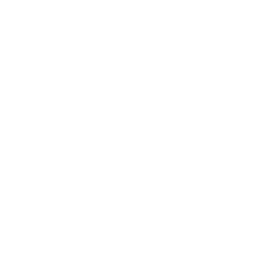 Fender